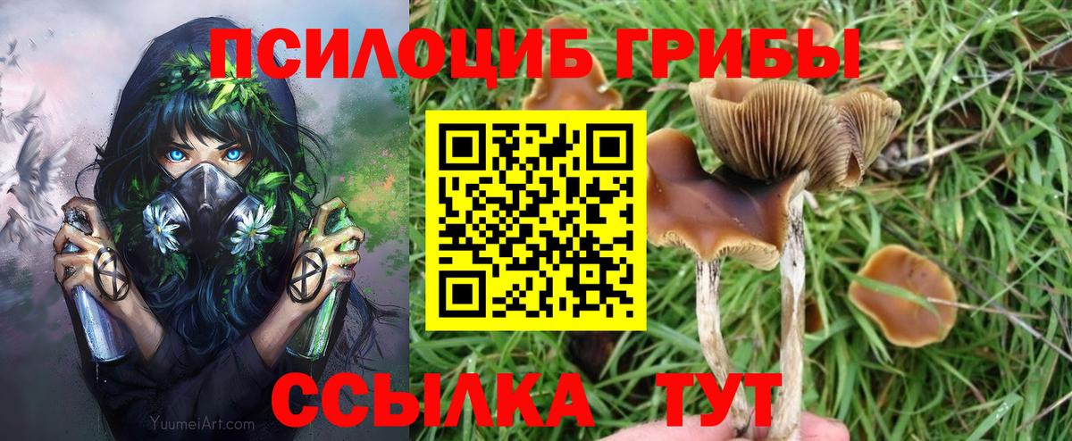 Галлюциногенные грибы GOLDEN TEACHER Дмитров