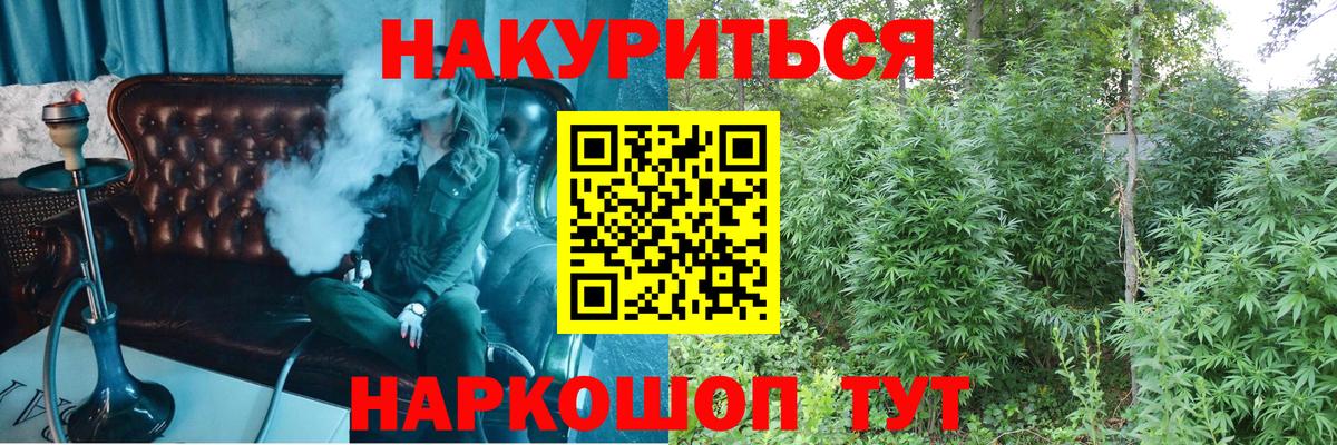 Бошки марихуана ГИДРОПОН  МАРИХУАНА Bruce Banner  Дмитров  Вход с VPN 